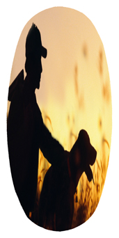 DASOV 311 Gone Hunting (Dog)